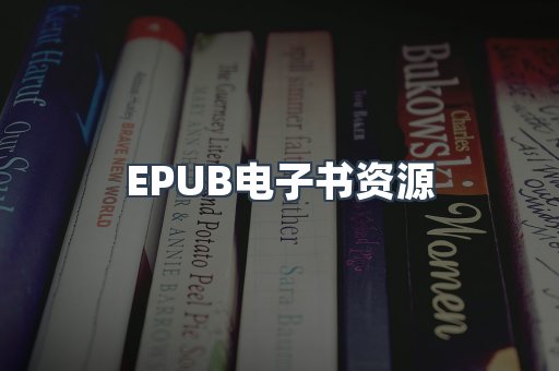 海外电子书